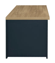 Highgate 2 Drawer Coffee Table - Navy & Oak